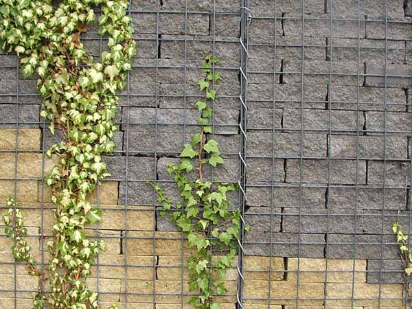 景观用石笼网 - 安平县全华丝网制品有限公司图片2