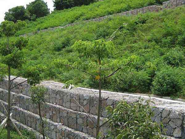 景观用石笼网 - 安平县全华丝网制品有限公司图片4