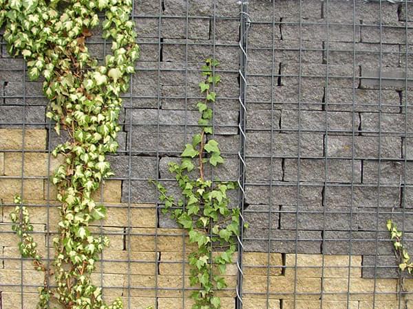 电焊石笼网 - 安平县全华丝网制品有限公司图片2